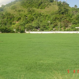 Fields