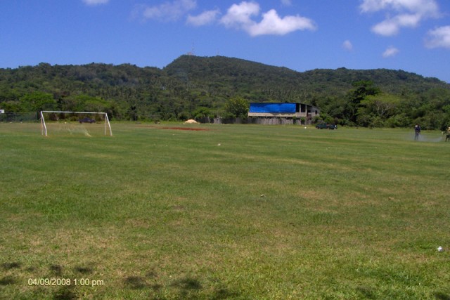 Fields
