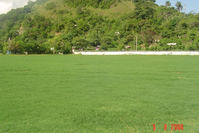 Fields