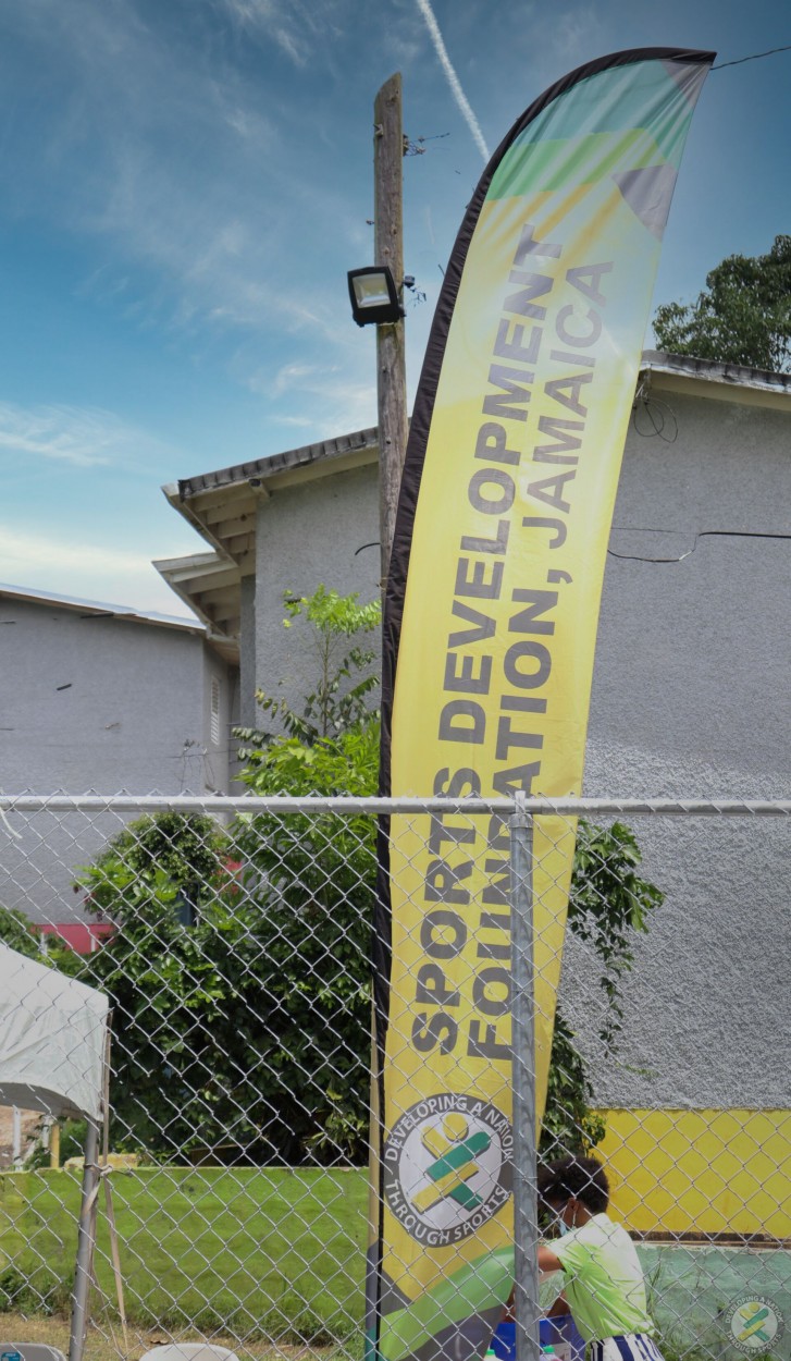SDF Feather Banner