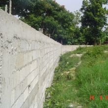 Sanguinetti Clarendon wall